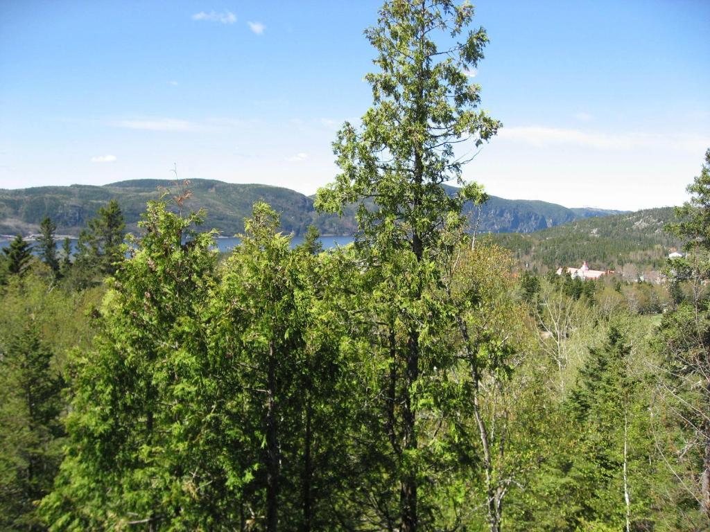 Chalet De La Montagne Villa Tadoussac Esterno foto